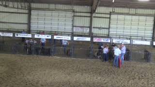 Swine Show  2024 Dawson County Fair  LIVE EVENT [upl. by Lowenstern]