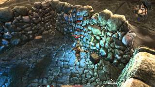 Lets Play Arcania  Fall of Setarrif Blind HD Part 16  Selena [upl. by Aikcin]