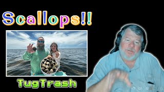 Rob Reacts  Tug Trash quotFloridas Secret Seafood Scallops  Catch Clean Cook quot [upl. by Naloj]