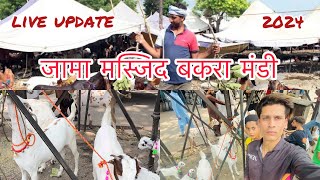 live update  jama masjid bakra mandi  2024 ajmal vloge  bakra mandi  vlog  bakra eid [upl. by Denver606]