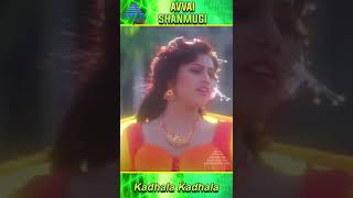 Kadhala Kadhala Movie Song  Avvai Shanmughi Tamil Movie Songs  Kamal Haasan  Meena  YTShorts [upl. by Enived943]