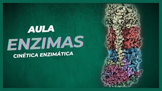 ENZIMAS  Cinética Enzimática [upl. by Takara]