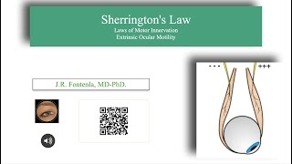 Sherringtons Law or Reciprocal Innervation Law [upl. by Waring862]