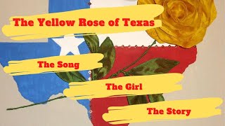 The Story of Yellow Rose 0f Texas [upl. by Nette]