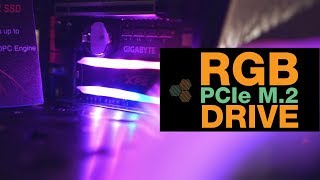 RGB M2 DRIVES ADATA SUITE CES 2019  TMR [upl. by Amalee]