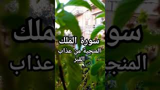 قف ٥٥ ثانية احتراما لكلام ربنا اكتب يا الله [upl. by Haas]