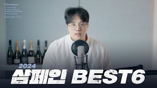 2024년에 만난 샴페인 Best 6 [upl. by Ahsino417]