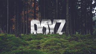 DAYZ В ПОИСКАХ ЛУТА [upl. by Enaz248]