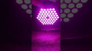 60 LED bulbs Vali dj light 👍👍 super fokas super light mode 💯💯👌👌 [upl. by Orin]