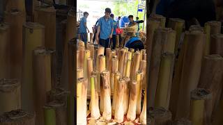 Edible Dwarf Coconut Tree  Coconut Tree Cutting Skills [upl. by Pegasus]