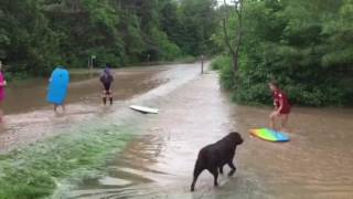 Kids playing in flood waters [upl. by Hnad]