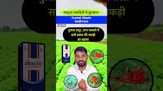 Abacin Miticide मकड़ियों की बेस्ट दवा  Mites control insecticide insecticide shorts spidermites [upl. by Grof445]