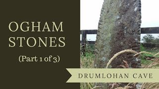 Ogham Stones  the Ancient Irish Alphabet at Drumlohan Cave Part 1 of 3 [upl. by Notnilc]