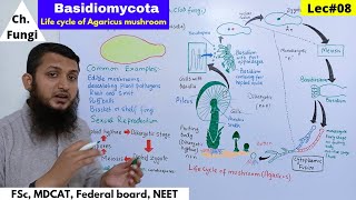 Basidiomycota  Life Cycle of Agaricus mushroom  Bio Part 01  Lec08 [upl. by Fulmer788]