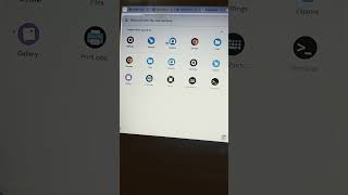 chrome os flex play store [upl. by Calen]
