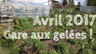 Potager en permaculture Avril 2017 20 [upl. by Osterhus148]