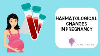 Haematological Changes in Pregnancy [upl. by Ennovaj]