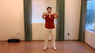 Lin Housheng Shibashi Movement Sample 2 [upl. by Chrissie]