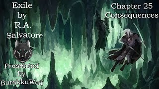 Exile  Chapter 25 Consequences The Dark Elf Trilogy Book Two [upl. by Enoek]