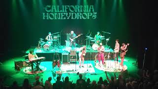 California Honeydrops  Vic [upl. by Sirrap]