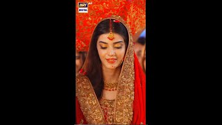 Teri Rah Mein  Wedding Moment  ARY Digital Drama [upl. by Neisa]