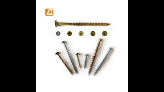 Chipboard Screw Factory in China [upl. by Etty]