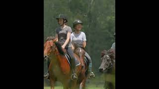 Horse Riding Lessons at Glenworth Valley [upl. by Ahso]