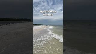 Tigertail Beach Washout TigertailBeach FYP florida MarcoIsland mywalksinparadise 4K [upl. by Eiramyelhsa841]