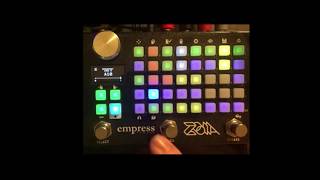 Empress ZOIA tutorial quotGetting more out of the looper bypassing overdub and morequotquot [upl. by Enilorak983]