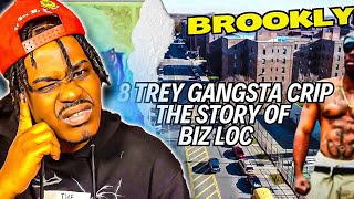 REACTION👉🏽 Brooklyn Gang War  The 8 Trey Gangster Crip quotBiz Locquot [upl. by Ronacin935]