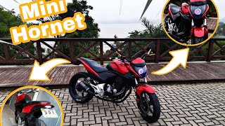 Como transformei minha cb 300 na mini hornet [upl. by Aihsotan]