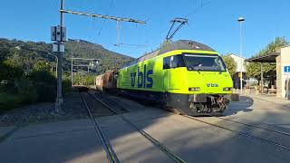 Usfahrt vo de Re 465 011 mit Brunbär und Valentina in Oensingen OeBB [upl. by Mutua]