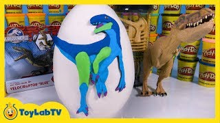 Giant Play Doh Jurassic World Dinosaur Surprise Egg with Velociraptor Blue Toy by ToyLabTV [upl. by Algie]