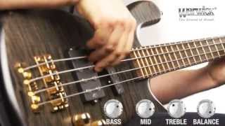 The Warwick Streamer Jazzman 4String  Product Demo with Ove Bosch [upl. by Anigar]