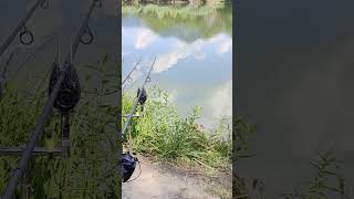 Carpfishing Italia carpfishing fishing [upl. by Spoor586]