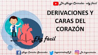 Sistema eléctrico del corazón  Animación médica [upl. by Stanly]