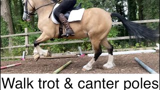 Walk trot and canter pole work distances in steps polework  trot poles  horse tips [upl. by Tamar]