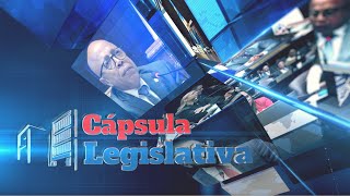 Te compartimos nuestro resumen de noticias lunes 21 de octubre de 2024 📰🇩🇴🏛️ diputadosrd [upl. by Enirehtacyram508]