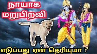 நாயாக மறுபிறவி எடுப்பது ஏன்  Ramayanam story in tamil [upl. by Nnaira849]