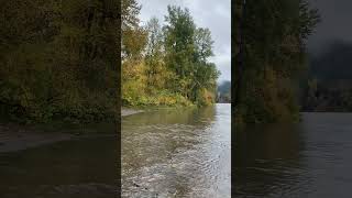 Umpqua River at Cleveland Rapids Park near Roseburg Oregon [upl. by Xila891]