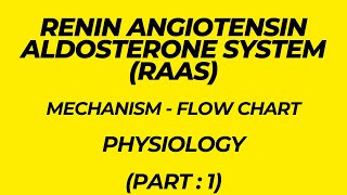 Renin Angiotensin Aldosterone System RAAS Mechanism  Flow chart Physiology Part 1 [upl. by Carry]