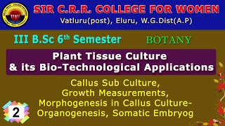 2 BSc 36  Botany  Plant Tissue Culture amp its Bio Technological Applications Callus Sub Culture [upl. by Miehar]