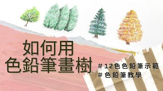 如何用色鉛筆畫樹｜12色色鉛筆示範｜適合初學者 [upl. by Aliak]