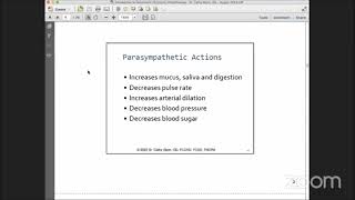 Introduction to Optometric Syntonic Phototherapy [upl. by Urbanna]