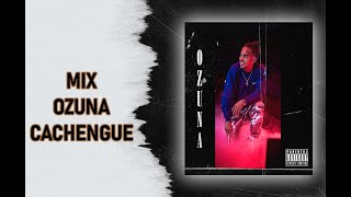 Mix Ozuna Cachengue By Rugal [upl. by Garlan]