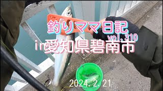 釣りママ日記vol310愛知県碧南市 [upl. by Eetsud]