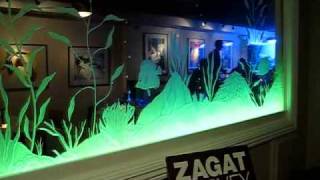 Etched Glass w LED Light System [upl. by Allissa]