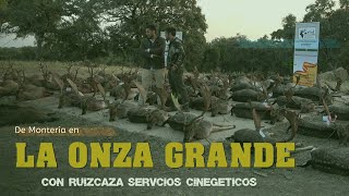 “MONTERÍA EN LA ONZA GRANDE CON RUIZ CAZA SERVICIOS CINEGÉTICOS” en Montoro 12 Noviembre del 2022 [upl. by Gnilrac175]