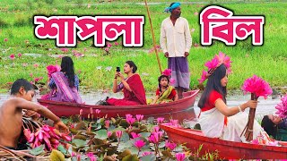 শাপলা বিল নারায়ণগঞ্জ রুপগঞ্জ। Shapla Bill 300 Feet। শাপলা বিল ঢাকা। Shapla Bill [upl. by Croteau]