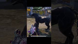 Venom Horse Riding 😍👈 [upl. by Tisman]